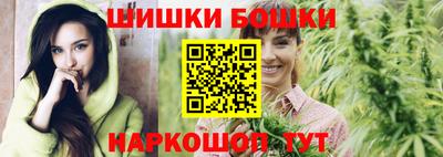 шишки Обь