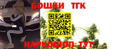 шишки Обь