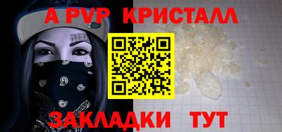 шишки Обь