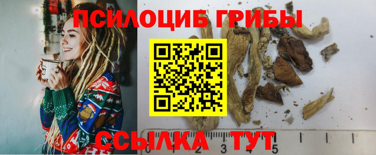 Псилоцибиновые грибы прущие грибы  Вход с VPN  Галлюциногенные грибы Psilocybine cubensis  Рубцовск 